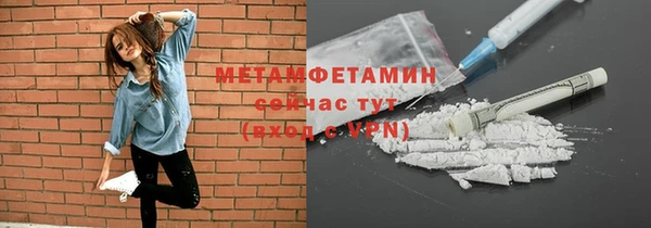 хмурый Сосновый Бор