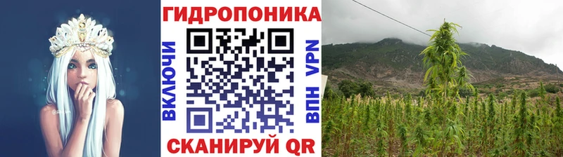 blacksprut вход  Конаково  Конопля индика  даркнет сайт 